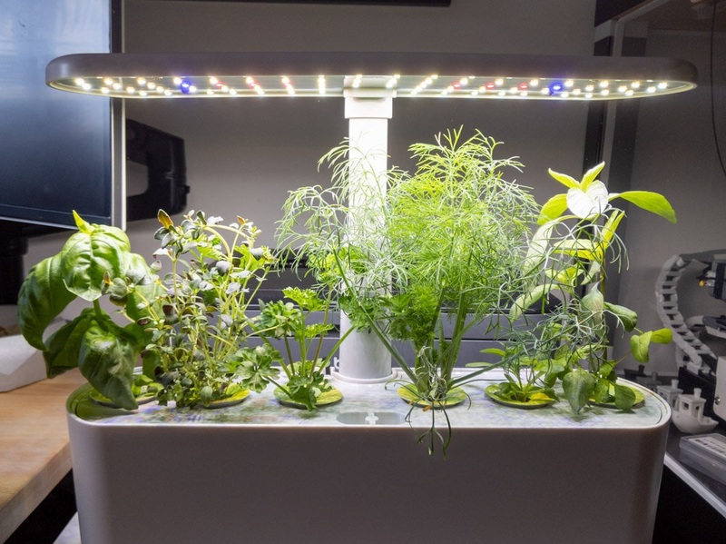 They have the AeroGarden Pods