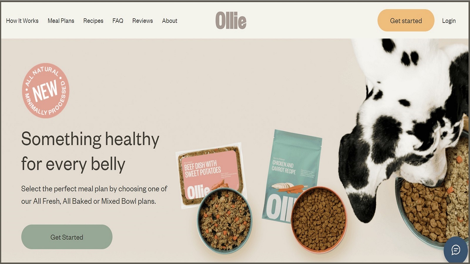 Ollie Dog Food Review: Is It Good for Your Dog?