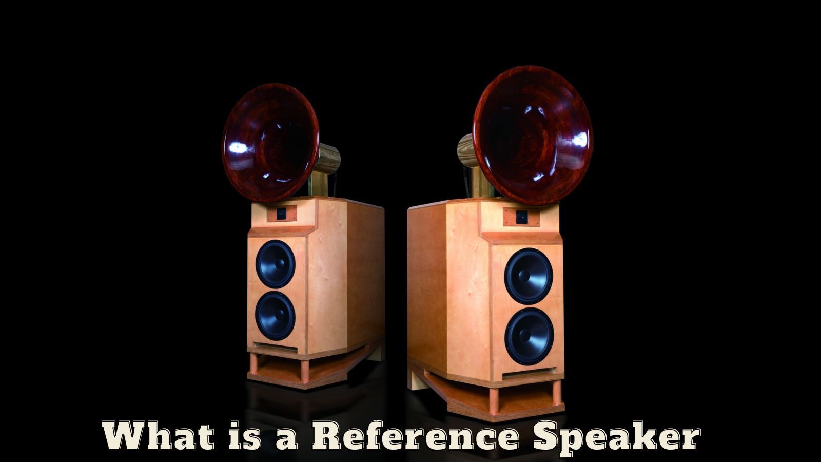 What Are Reference Speakers? (When Do You Need Them)