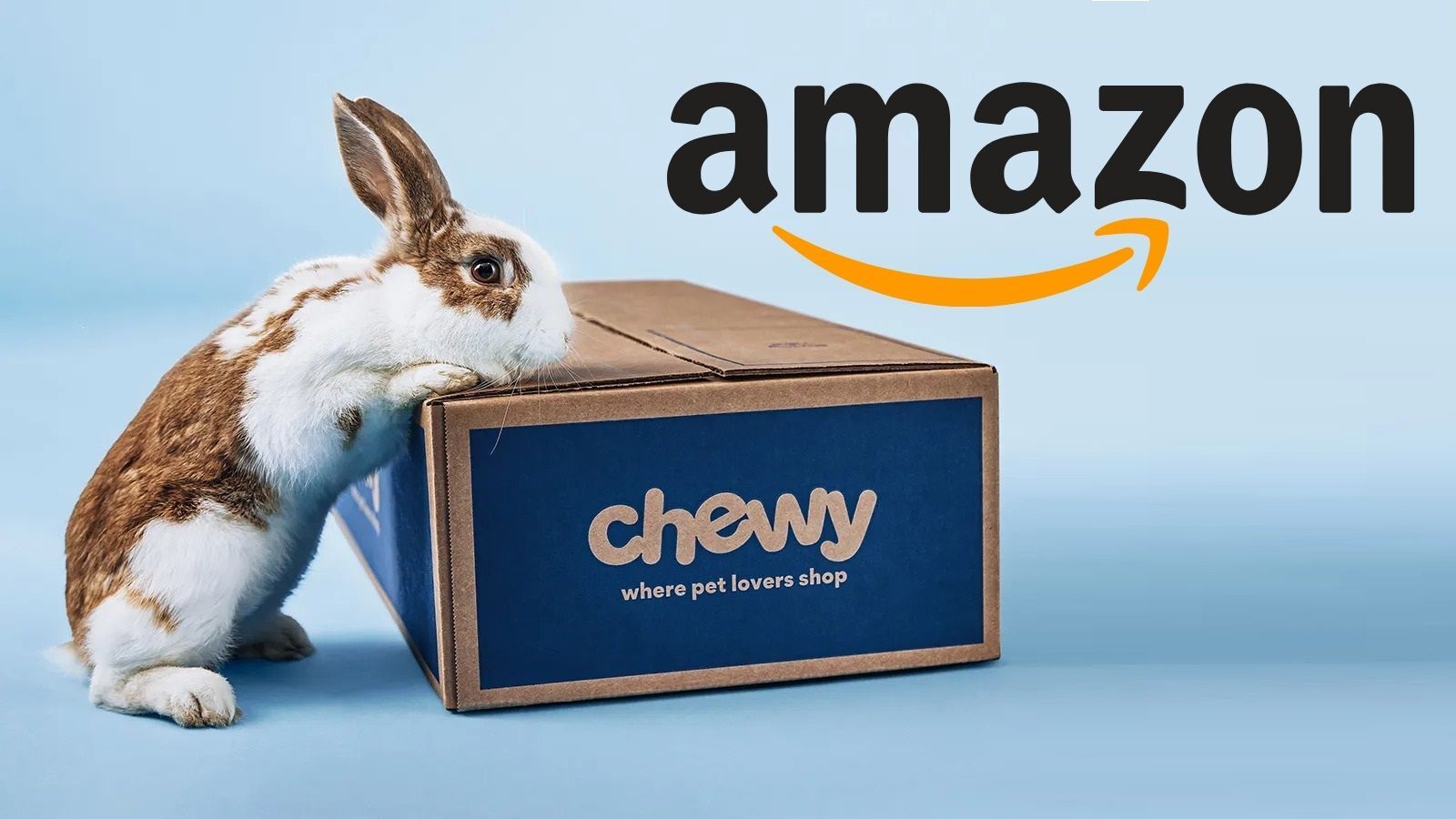 Does Amazon Own Chewy in 2022?