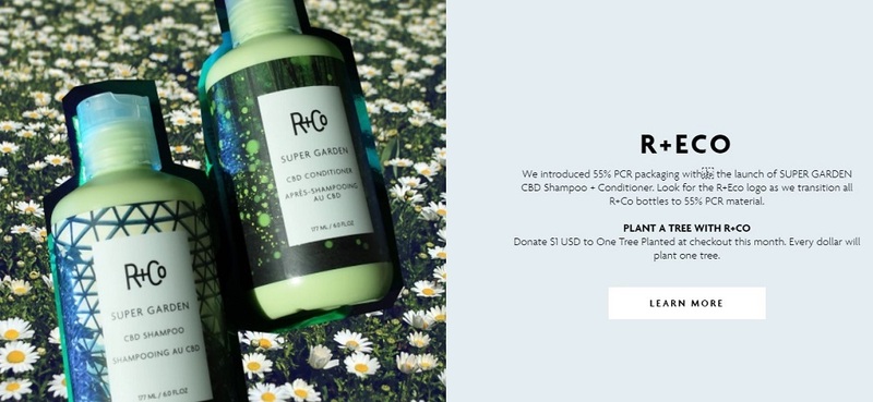 About R+Co Hair Products