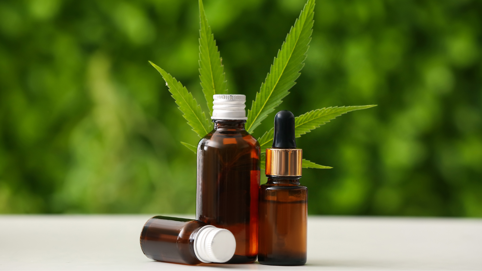Aspirin vs. CBD Oil: Which Is Safer for Your Canine Companion?