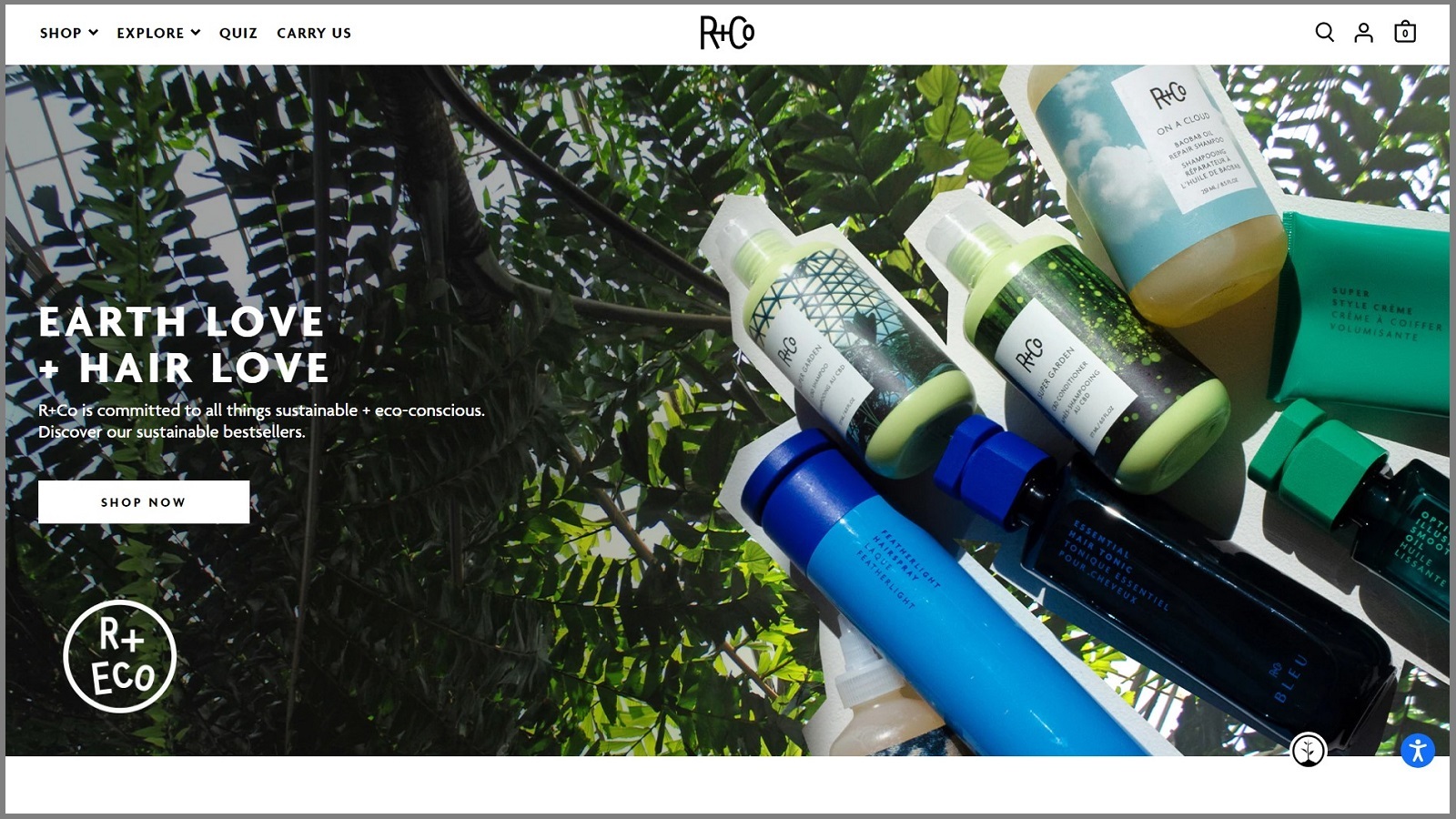 R+Co Hair Products Review: *Pros and Cons*  Does It Really Work?