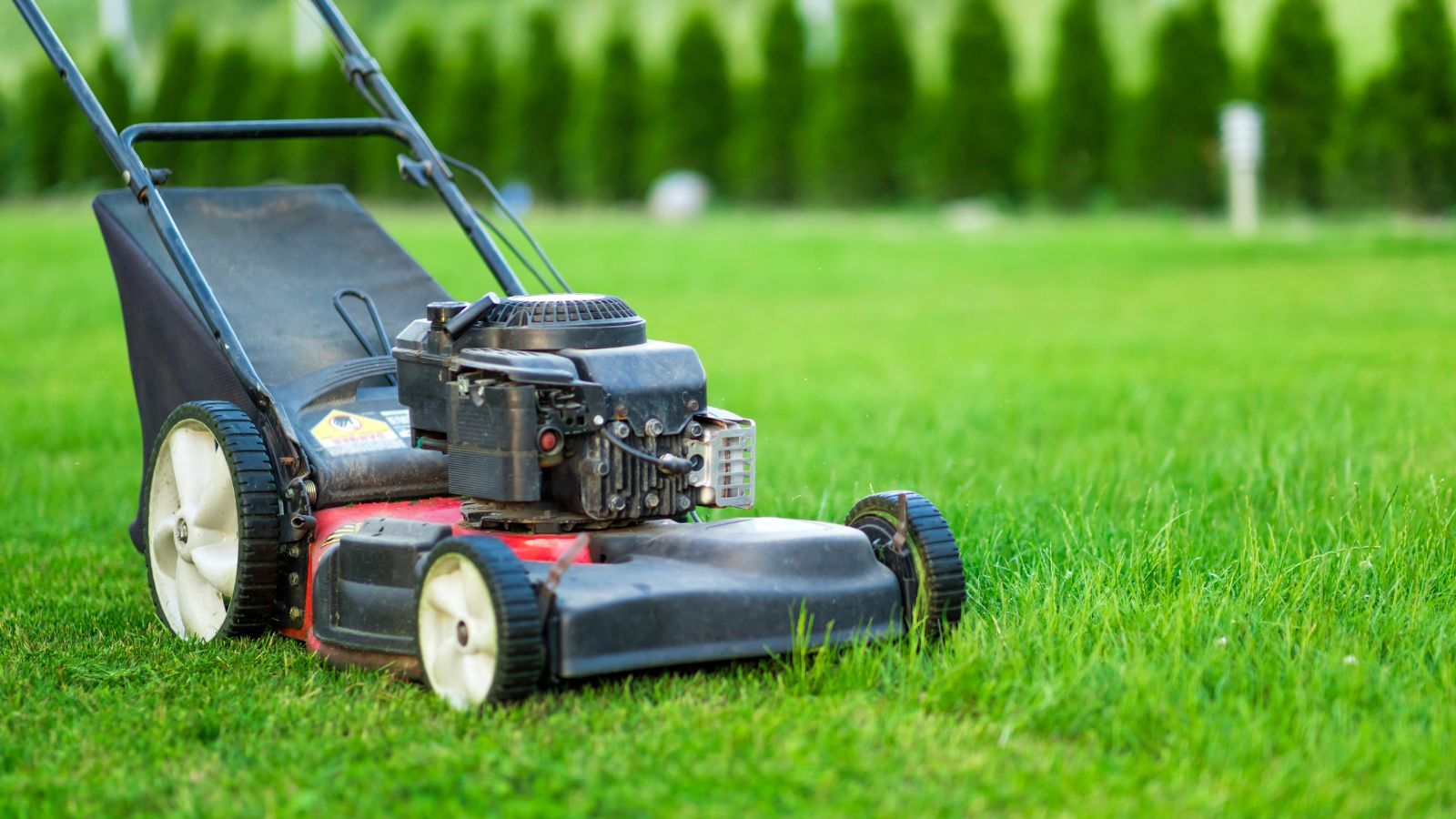 12 Best Lawn Mower for Your Yard in 2023